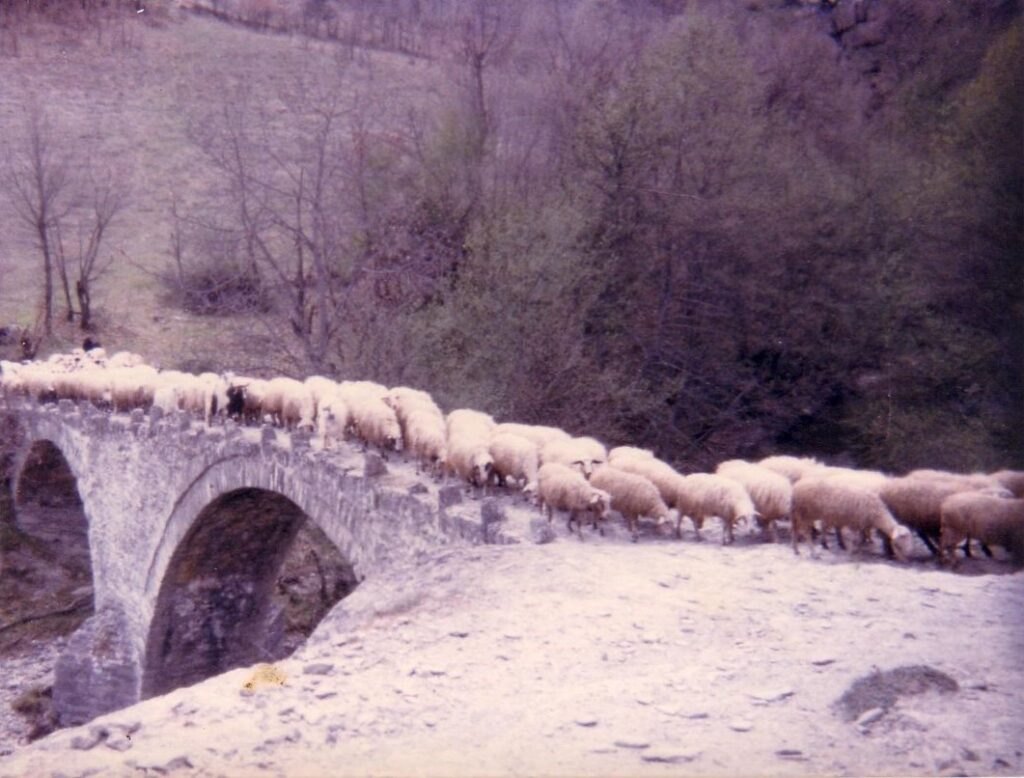 Πηγές και γεφύρια της Μόρφης — φωτογραφία 2