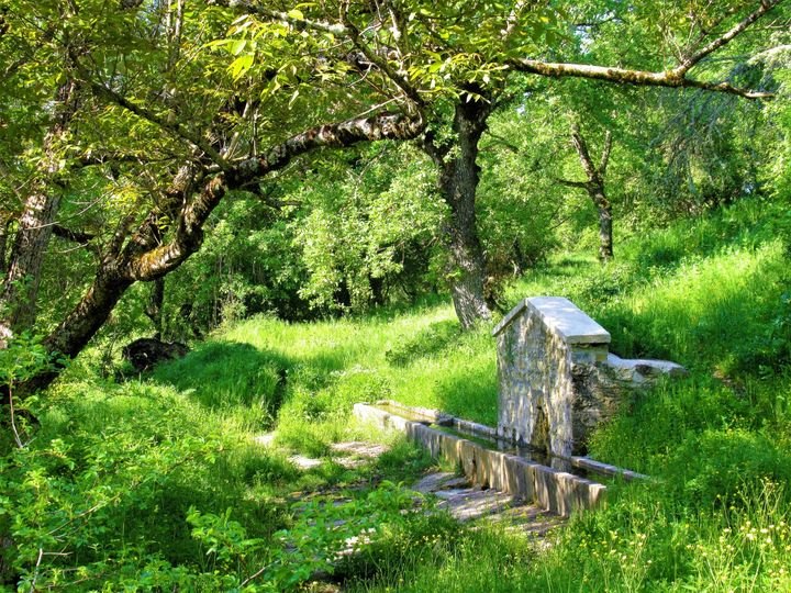 Πηγές και γεφύρια της Μόρφης — φωτογραφία 13