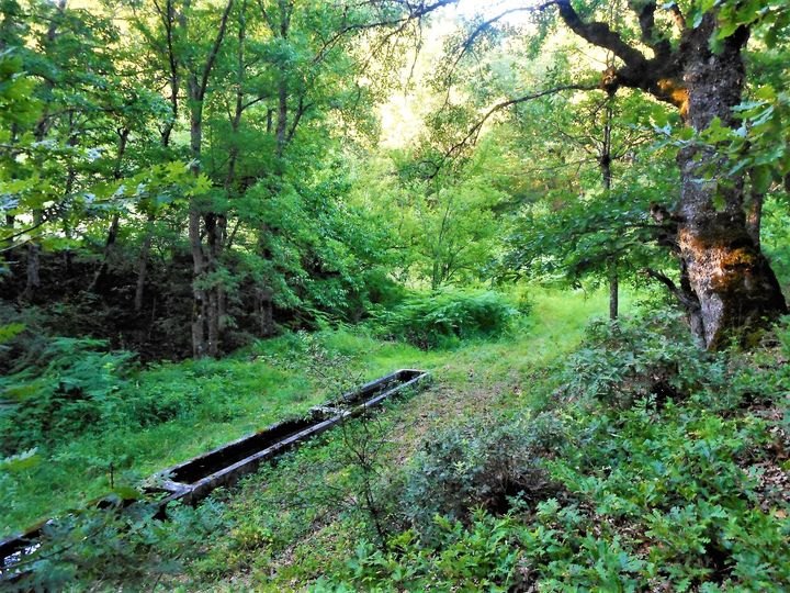 Πηγές και γεφύρια της Μόρφης — φωτογραφία 19