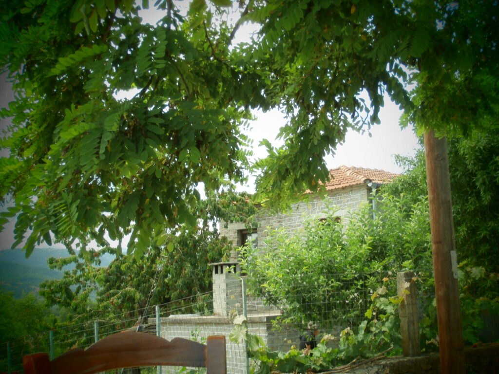 Γωνιές της Μόρφης — φωτογραφία 5