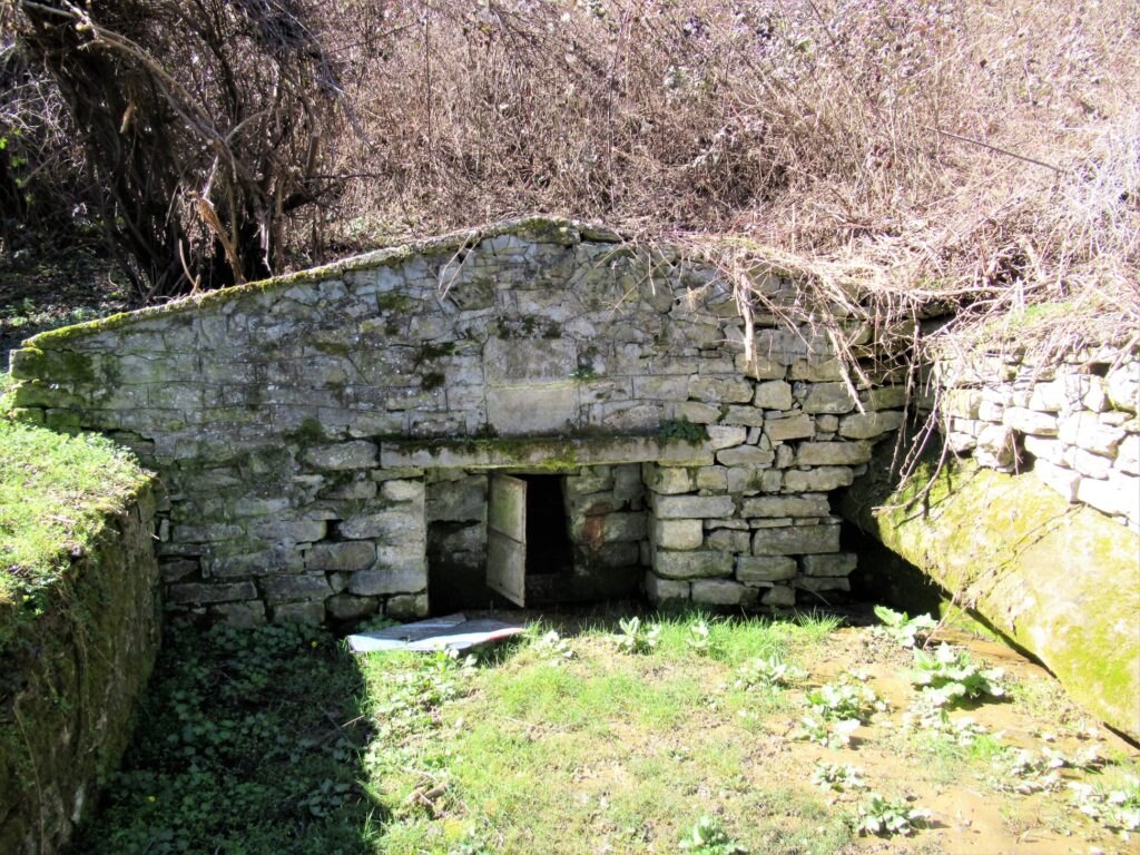 Καζαναριό Μόρφης — φωτογραφία 7