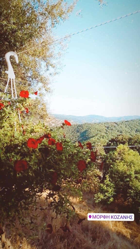 Καφενείο Ο…Μόρφη